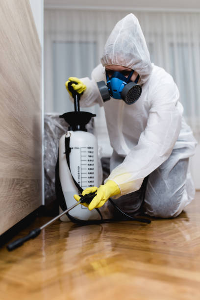 Reliable Port Dickinson, NY Pest Control Solutions